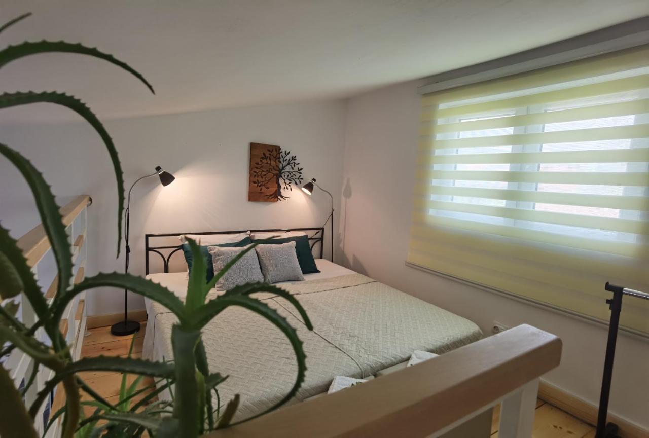 זרנג'נין Zona Apartments 2 מראה חיצוני תמונה